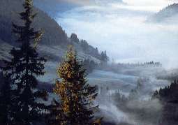 nebel_land_schaft_01.jpg (6938 Byte)